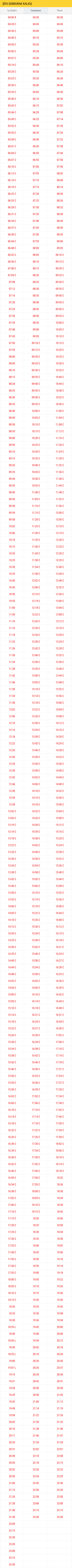 500T Şifa Son Durak kalkış