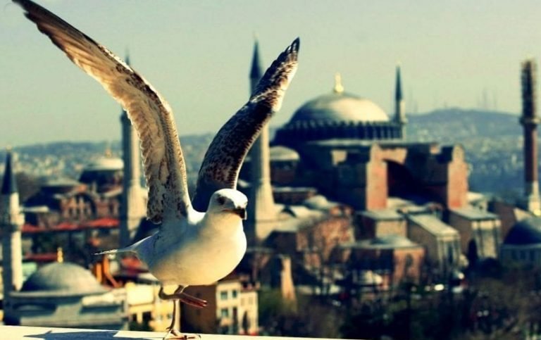 İstanbul’da Her Dönem Görebileceğiniz Mükemmel 20 Yer