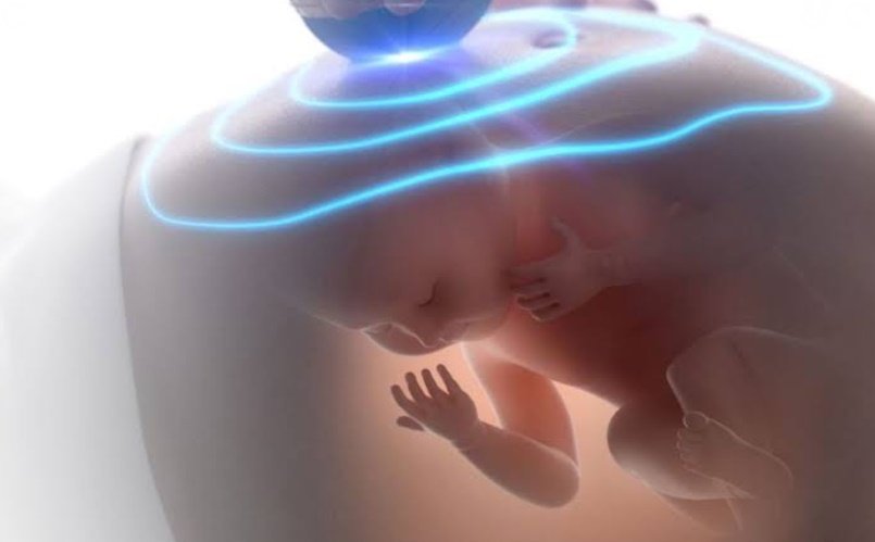 Gebelikte Bebeğin Beyin ve Zekâ Gelişimini Etkileyen Faktörler