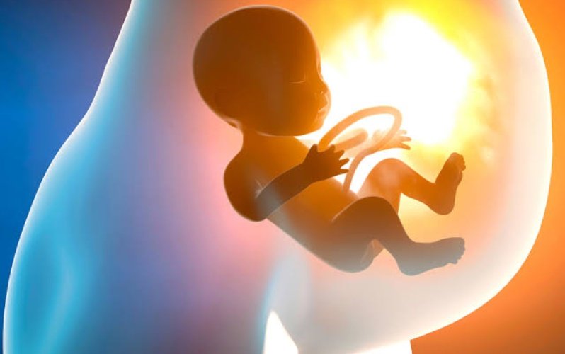 Gebelikte Bebeğin Beyin ve Zekâ Gelişimini Etkileyen Faktörler