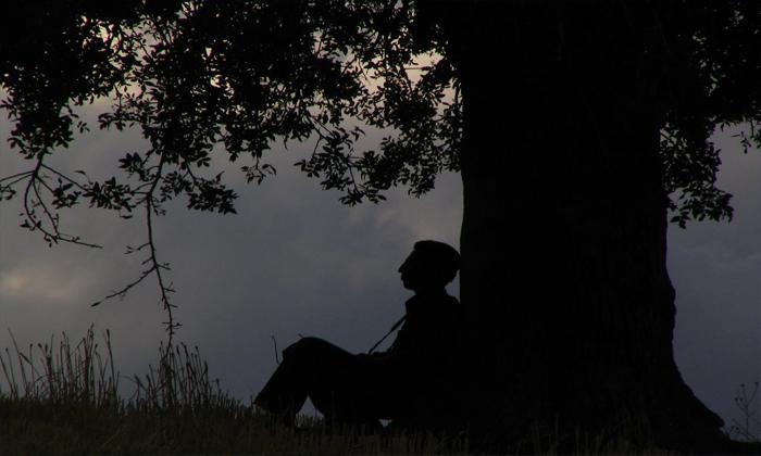 Rüyada ağacın gölgesine sığınmak