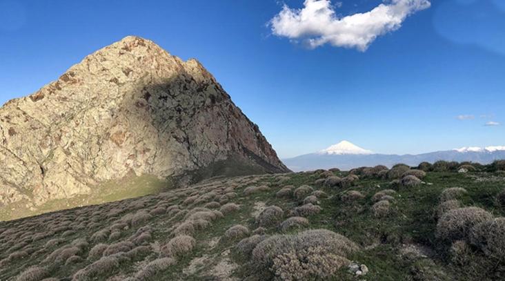 Rüyada bitkisiz dağ görmek