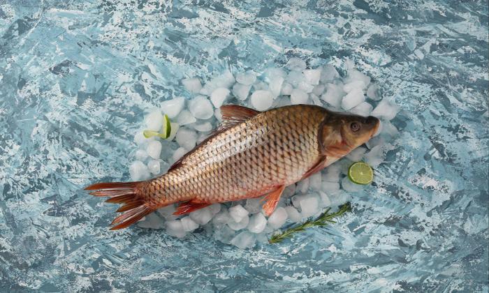 Rüyada sazan balığı görmek