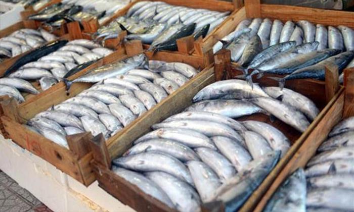 Rüyada tuzlu balık görmek