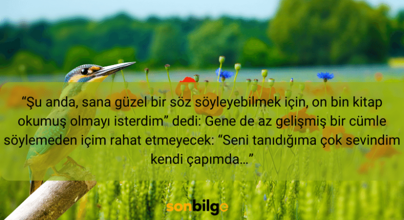 Oğuz Atay "Tutunamayanlar" kitap alıntıları
