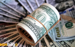 Dolar Yatırımı Yaparken Nelere Dikkat Edilmeli?