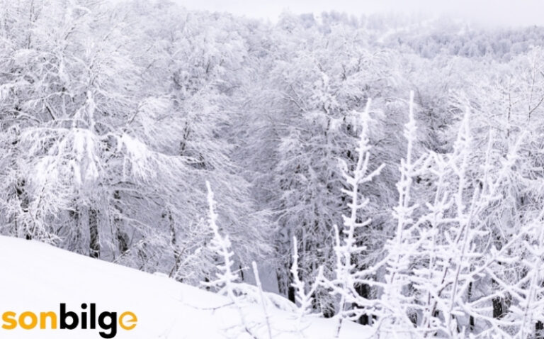 Türkiye’de Kışın Gezilecek Yerler: Unutulmaz Bir Tatil İçin En İyi Rotalar