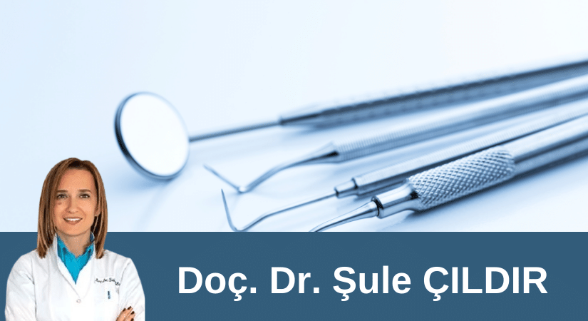 Doç. Dr. Şule ÇILDIR