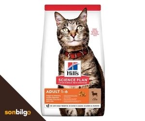 Hills Adult Kuzu Etli Yetişkin Kedi Maması