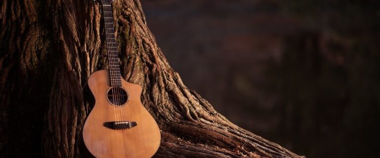 Ortamın Havasını Değiştirecek En İyi Gitar Markaları