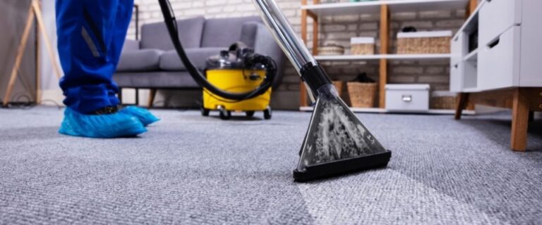 En İyi Halı Yıkama Makinesi Fiyatları [2021 GÜNCEL]