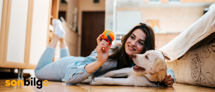 Apartman Dairelerinde Bakılabilecek Köpekler