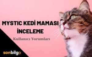 Mystic Kedi Maması Detaylı İnceleme, Kullanıcı Yorumları