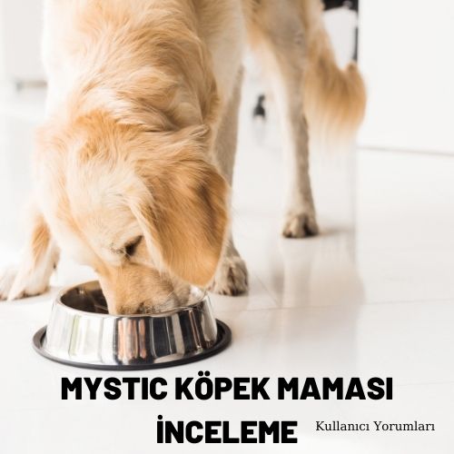 Mystic Köpek Maması İnceleme, Kullanıcı Yorumları