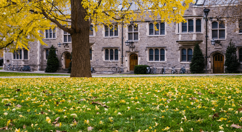 Princeton University