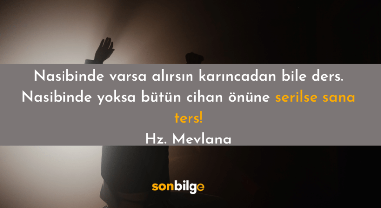 Mevlana’dan Anlamlı Sözler | Düşündüren 140 İbretlik Söz