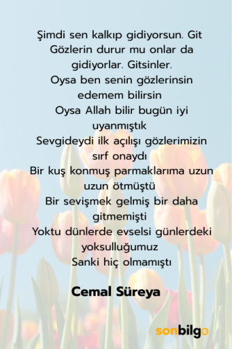 Cemal Süreya Aşk şiiri