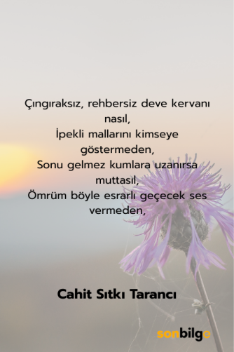 Cahit Sıtkı Tarancı – “Ömrümde Sükut” Şiiri
