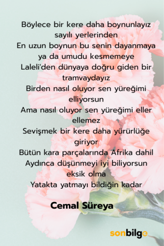 Cemal Süreya’nın Unutulmaz Eseri: “Üvercinka”