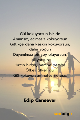 Edip Cansever – “Gül Kokuyorsun” Şiiri