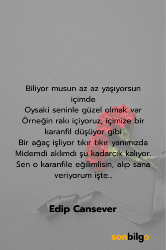 Edip Cansever – “Yerçekimli Karanfil” Şiiri