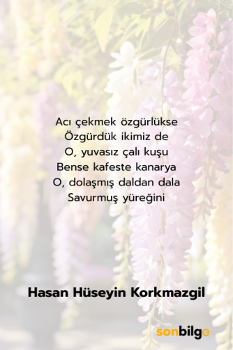 Hasan Hüseyin Korkmazgil – “Acılara Tutunmak” Şiiri