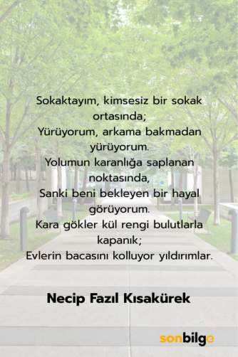 Necip Fazıl’ın Unutulmaz Eseri: “Kaldırımlar”