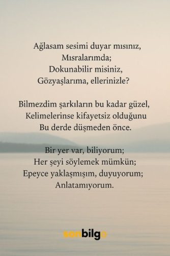 Orhan Veli Anlatamıyorum şiiri