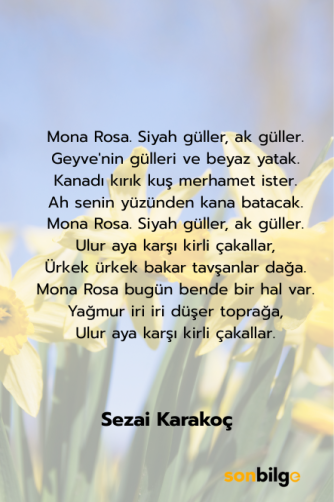 Mona Roza – Sezai Karakoç’un Gizemli Aşk Şiiri