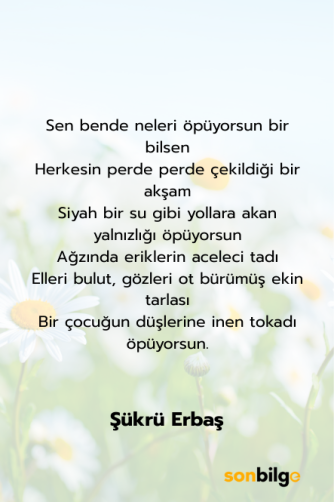 Şükrü Erbaş – “Kocaman Bir Çocuğu Öpüyorsun” Şiiri